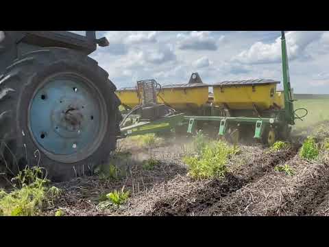 Видео: Посев подсолнуха сеялкой John Deere 1750 по нулю. No-till посев