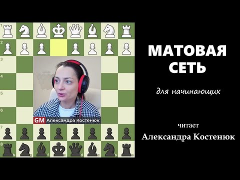 Видео: Матовая сеть. Для начинающих #шахматы #chess #chesstutorials #атака #миттельшпиль