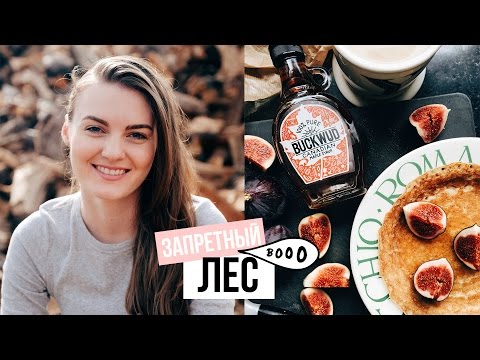 Видео: ПЕРФЕКЦИОНИЗМ, ПОКУПКИ ДЛЯ ДОМА И ЗАПРЕТНЫЙ ЛЕС