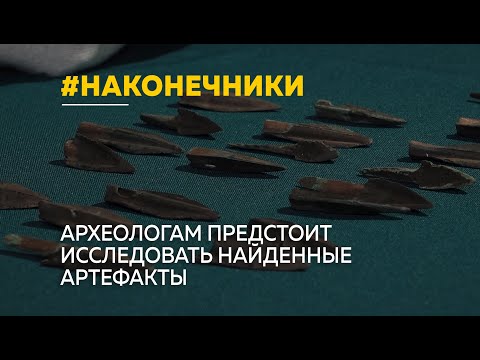 Видео: 20 бронзовых наконечников стрел, обнаруженные «черным копателем», будут храниться в алтайском музее