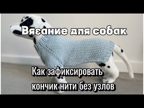Видео: Вязание для собак: как зафиксировать кончик нити при вязании вперед-назад