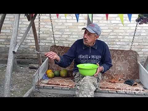 Видео: ВЕЧЕРЯ ПЕРЕВЕРНУТА 🫢 ДІСТАЛИ ПРОГНОЗИ 