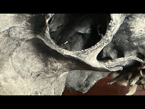 Видео: Картина черепа - готический декор