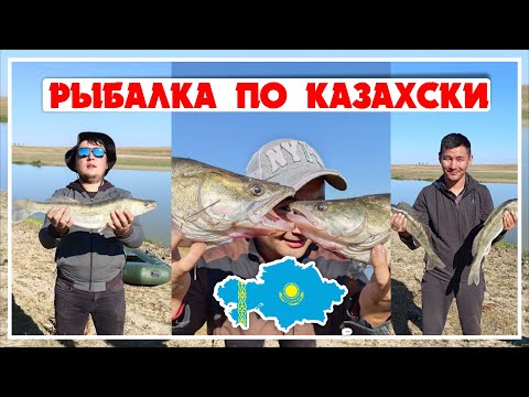 Видео: Балык аулау Судак көксерке карась аулау / Садырбай/ балық аулау рыбалка