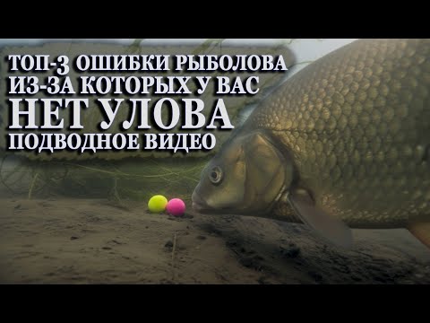Видео: Топ-3 Ошибки рыболова из за которых у вас нет улова Подводное видео