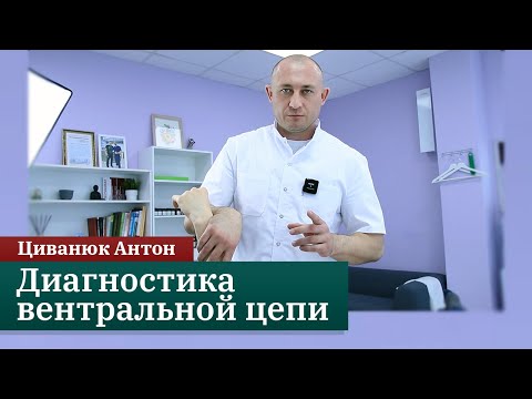 Видео: Диагностика вентральной цепи. Прикладная кинезиология. Циванюк Антон