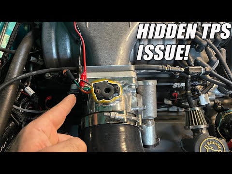 Видео: У твоего Фоксбоди есть грязный маленький секрет, который он от тебя скрывает!