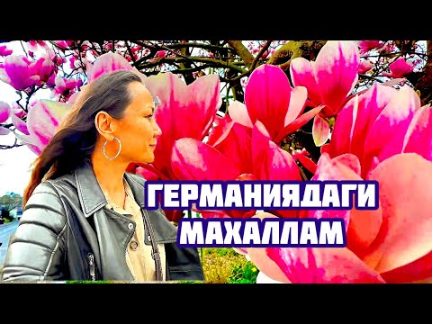 Видео: ГЕРМАНИЯ 🇩🇪ПУЛЬХАЙМ МАХАЛЛАСИ .
