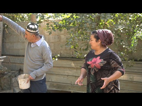 Видео: ЛАХЗАХОИ НОГУВОР - МУРГХОИ БЕ ХУРУЗ САХНАИ НАВ!