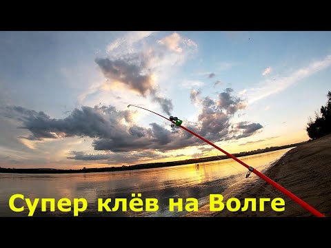 Видео: #Рыбалка на донки с берега! Супер клëв! Река Волга!