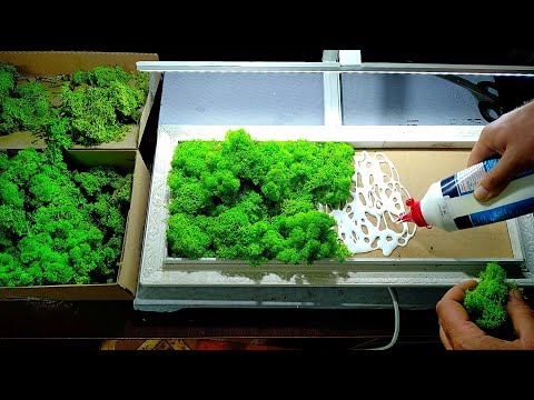 Видео: Как клеить стабилизированный мох/How to glue stabilized moss
