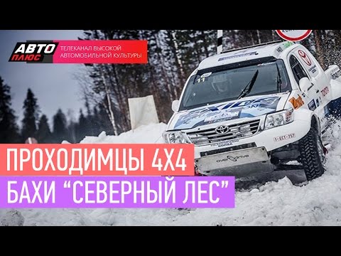 Видео: Проходимцы 4х4 - Бахи "Северный лес" - АВТО ПЛЮС