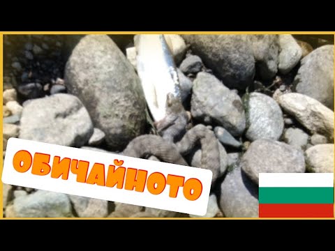 Видео: ТЕСТВАМ СИ НОВИ ЦВЕТОВЕ.РИБОЛОВ С БУЛДО