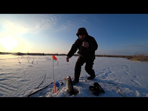Видео: ЩУКА НЕ ДАЕТ ПоКОЯ. РЫБАЛКА НА ЖЕРЛИЦЫ.