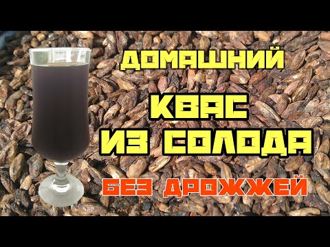 Видео: Квас из солода в домашних условиях. Рецепт кваса из солода. Квас на закваске. Закваска для кваса.