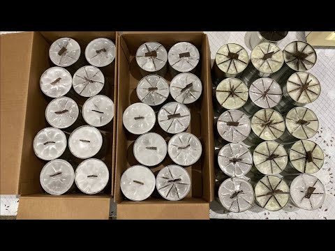 Видео: КАК СДЕЛАТЬ???Окопные, туристические СВЕЧИ из КОНСЕРВНЫХ банок🔥