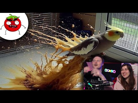 Видео: ЗАСМЕЯЛСЯ - ПРОИГРАЛ | ЛЮТЫЕ ПРИКОЛЫ | ЛУЧШИЕ ПРИКОЛЫ |  СЕКУНДЫ СМЕХА | Реакция