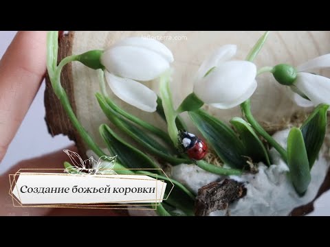 Видео: БОЖЬЯ КОРОВКА: видеоурок