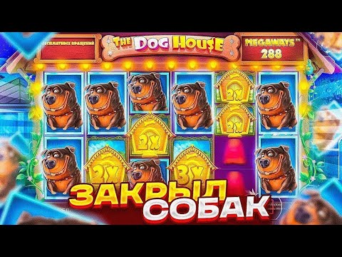 Видео: КУПИЛ БОНУС ЗА 240К В НАЧАЛЕ! ЛУЧШАЯ СЕССИЯ В THE DOG HOUSE MEGAWAYS! НЕРЕАЛЬНЫЕ ЗАНОСЫ!