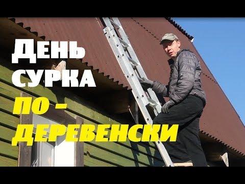 Видео: ДЕНЬ СУРКА по-деревенски .