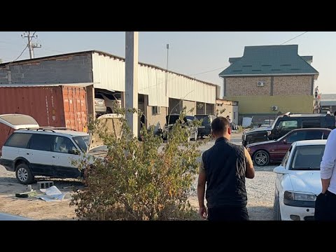 Видео: Манаста ⚠️