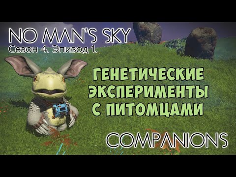Видео: No Man's Sky: Companions. Сезон 4. Эпизод 1. Генетические эксперименты.