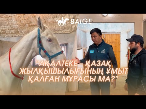 Видео: “АҚАЛТЕКЕ—ҚАЗАҚ ХАЛҚЫНЫҢ ҰМЫТ ҚАЛҒАН МҰРАСЫ МА?