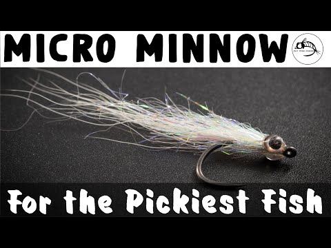 Видео: Используйте эту мушку, когда рыба не клюёт — Micro Minnow — руководство по вязанию мушек
