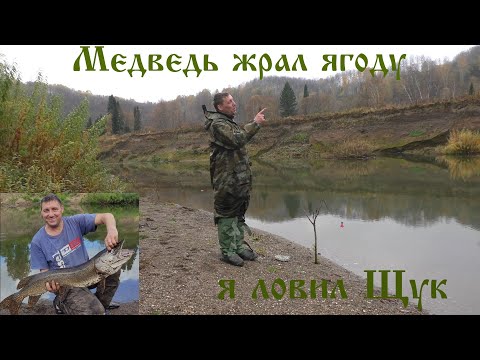 Видео: Рыбалка с ночёвкой в тайге.Медведь ел черёмуху,я ловил щук