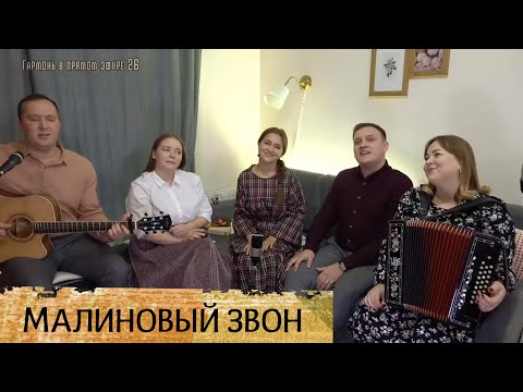 Видео: Малиновый звон – ансамбль Пташица, гармонь Лия Брагина, гитара Иван Разумов