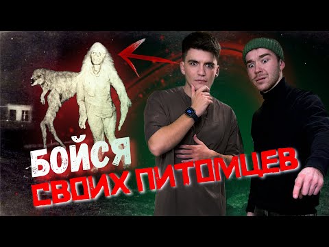 Видео: Существуют ли SKINWALKERS?