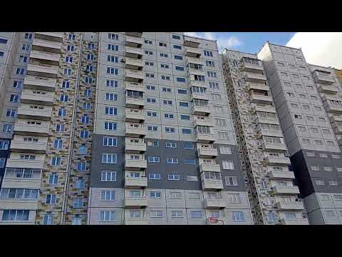 Видео: Гуляю с моей собакой ПРАДОЙ