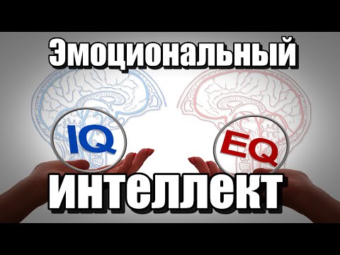 Видео: 😉👌🔥Эмоциональный интеллект. В работе, бизнесе и повседневной жизни😉👌🔥