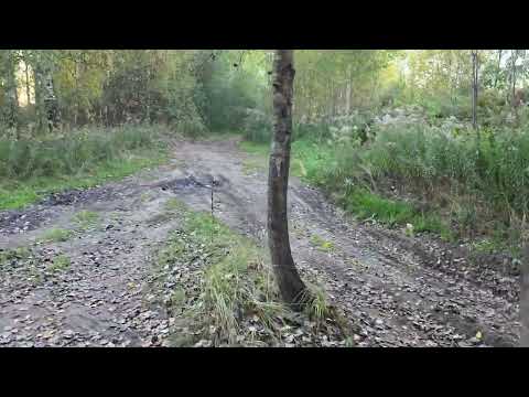 Видео: Осенняя прогулка ( ЗКПД - 4 - Пырский канал) Сормовский район