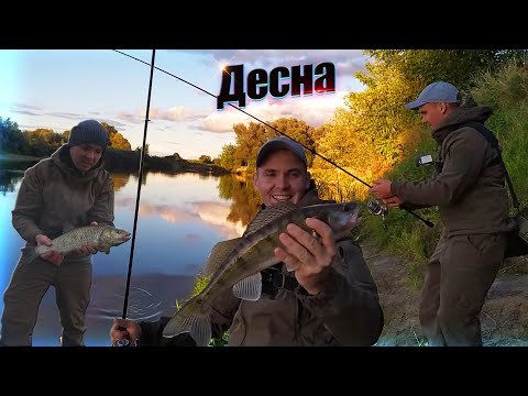 Видео: Рыбалка на реке Десна.  Лучший СПЛАВ всей моей жизни.  Часть1