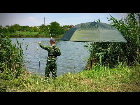 Видео: ЛОВЛЮ КАРАСЕЙ НА ДИКОМ ПРУДУ В ЛЮТУЮ ЖАРУ! РЫБАЛКА В ИЮЛЕ!!!