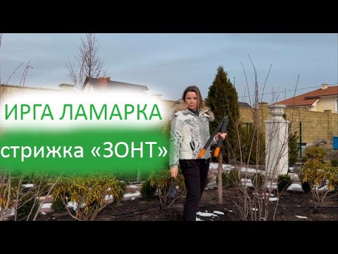 Видео: ИРГА ЛАМАРКА|стрижка ЗОНТ☂️😍