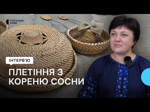 Видео: Майстриня з Сумщини займається плетінням з кореня сосни