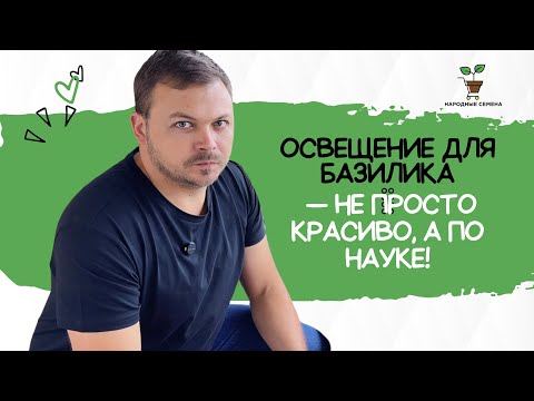 Видео: Когда свет — это не просто свет, а билет к бурному росту! 🌱