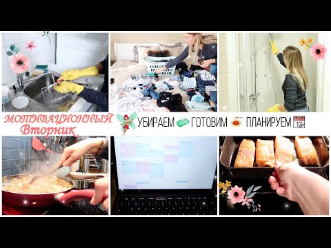 Видео: МОТИВАЦИОННЫЙ ВТОРНИК 🧚🏼‍♀️ УБОРКА 🧼 ГОТОВКА 🥘 ПЛАНИРОВАНИЕ 📆