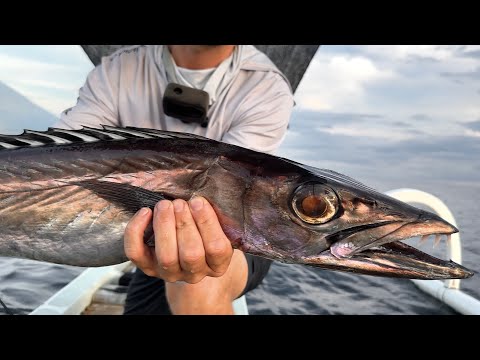 Видео: Это не барракуда! Глубокий джиггинг на Бали 2025