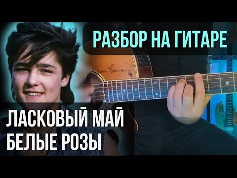 Видео: Как играть Ласковый май - Белые розы на гитаре | разбор на гитаре| кавер+табы