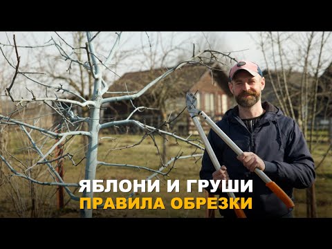 Видео: ПРИСТУПАЕМ К ОБРЕЗКЕ САДА. Нюансы обрезки молодых деревьев.