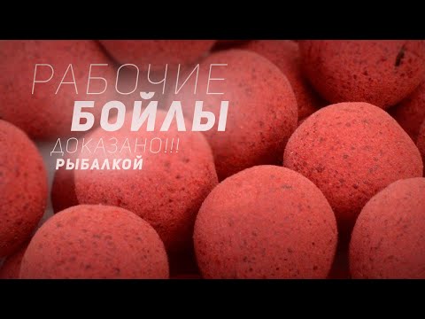 Видео: РЕЦЕПТ: РЕАЛЬНО РАБОЧИЕ БОЙЛЫ | ДОКАЗАНО РЫБАЛКОЙ!!!