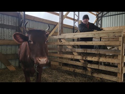 Видео: Трудимся от зари до зари. Простая жизнь в деревне.