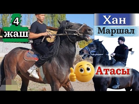 Видео: Хандардын чон Уч-булак