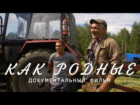 Видео: Как родные. Вырастить хлеб трудно, убрать без потерь — не легче. Документальный фильм о селе и людях