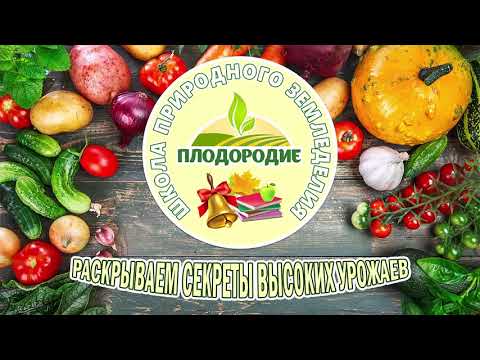 Видео: Почему я выбираю Природное Земледелие?