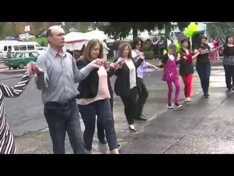 Видео: Виевска Фолк Група солист Стефан Мерков