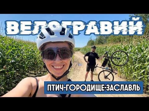 Видео: РАЗВЕДКА НОВЫХ ТРОП • Птич - Городище - Заславль